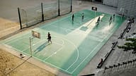 sports better